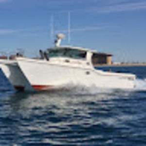 Meet your Posher, Steve